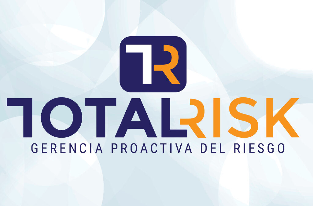 Total Risk: Security Services